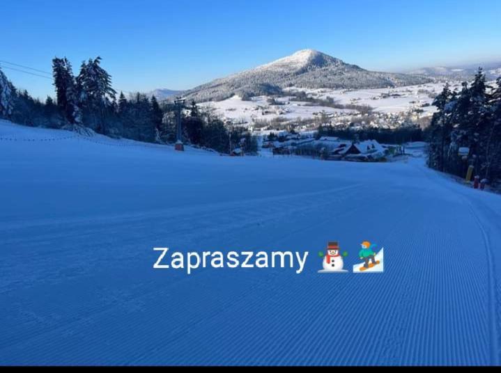 Вилла Pod Roza Касина Велька Экстерьер фото
